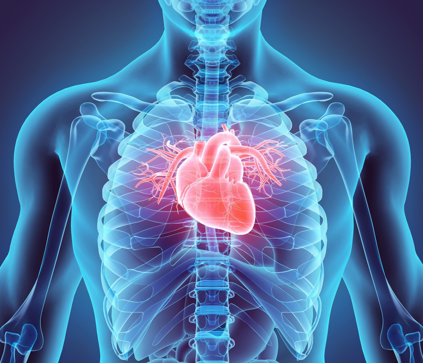 Cardiology