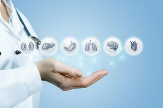 Internal Medicine Doctor Dubai