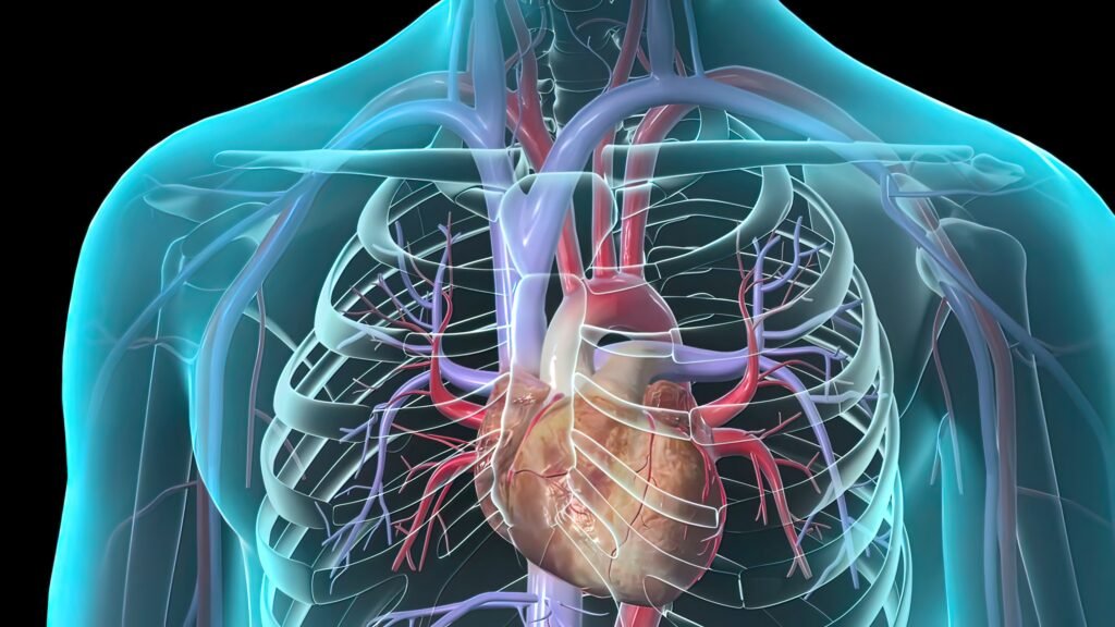 Cardiothoracic Surgery Dubai