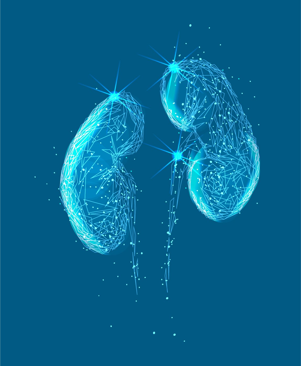 Chronic Kidney Disease Unit