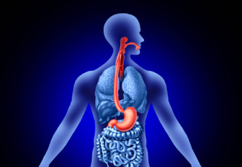 Esophageal Diseases